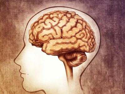 焊接手机看片网-霧霾使大腦遲鈍