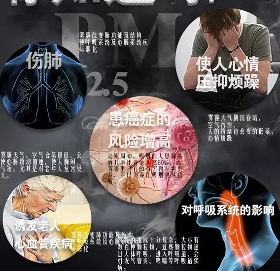 霧霾產生的疾病—手机看片网